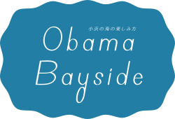 Obama Bayside